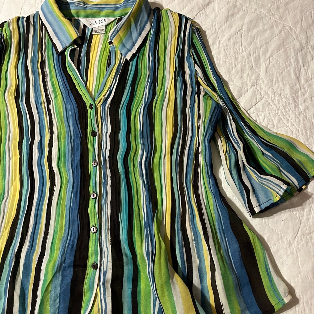 Allison Taylor Blue and Green Casual Button Down Shirt with Vertical Stripes